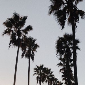 Listing for @poshedwin